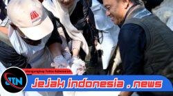 Pemkab Banyuwangi Periksa Kesehatan Hewan Kurban, Pastikan Layak saat Idul Adha
