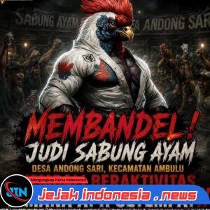 Membandel, Judi Sabung Ayam Desa Andong Sari,Kecamatan Ambulu Kembali Beraktivitas,Dimana APH setempat!!
