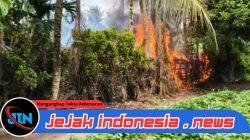 Polda Sumut Gencarkan Gerebek Sarang Narkoba: 97 Lokasi Disasar, 76 Tersangka Diamankan