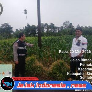 Bhabinkamtibmas Polsek Raya Sambang Lahan Jagung Warga, Wujud Nyata Polri Hadir di Tengah Kehidupan Petani Simalungun
