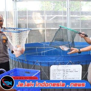 *Polda Metro Jaya dan Polres Jakbar Panen 219 Kg Ikan Nila di Greenhouse Palmerah*