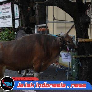 *Polda Bali Serahkan 96 Ekor Hewan Kurban Untuk Hari Raya Idul Adha*