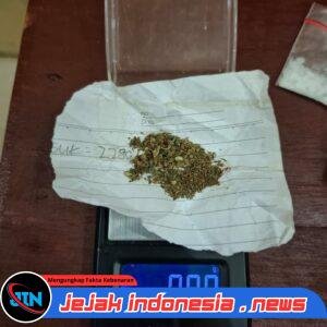 Seorang Pengedar Narkoba Jenis Sabu Dan Ganja Bersama Pacarnya Berhasil Ditangkap Satresnarkoba Polres Palas