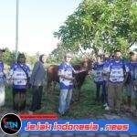 DPC Partai Demokrat Banyuwangi Sembelih Sapi Kurban di Lapangan AHY FC, Wujud Kebersamaan dan Kepedulian Sosial