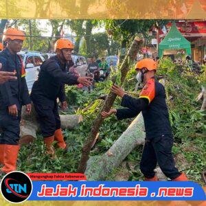 “Pohon Tumbang Tutup Akses Jalan, Brimob Sumut Bergerak Cepat Bantu Warga Pematangsiantar”