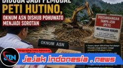PETI Hutino Kembali Jadi Sorotan, Dugaan Keterlibatan Oknum ASN Mencuat