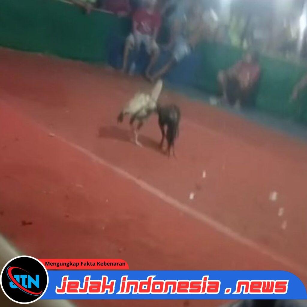 Aroma Pembiaran di Balik Maraknya Judi Sabung Ayam Kemirian, Kecamatan Tamanan, Milik Candra Polres Bondowoso Dituding Tutup Mata