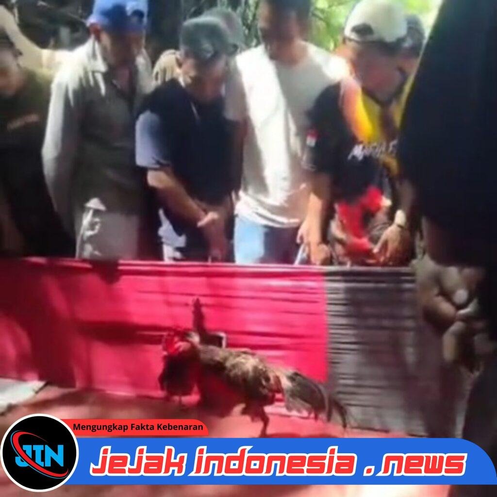 Masyarakat Desak Polres Probolinggo, Tutup Perjudian Sabung Ayam dan Ancaman Kejahatan Turunan di Desa triwungan