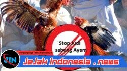 Diduga APH Setempat Mendapat Atensi, Aktivitas Judi Sabung Ayam dan Dadu di Desa Ketting, Dusun Keccik, Kecamatan Jombang, Mebuat Warga Resah