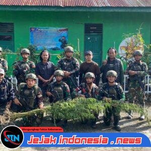 Melalui Patroli Keamanan Gabungan, Satgas Swasembada Yonif 643/Wns Koops TNI Habema Berhasil Temukan Ladang Ganja