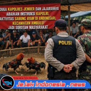 Diduga Aktivitas Sabung Ayam di Ambulu Jadi Sorotan, Masyarakat Pertanyakan Penegakan Hukum