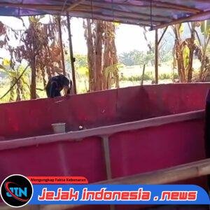 Diduga Arena Judi Sabung Ayam di Sidodadi Kembali Buka Kamis Ini, Warga Tantang APH Buktikan Keseriusan Berantas Perjudian