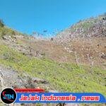 Masyarakat Kampung Yubumabur Harapkan Dukungan Pemerintah untuk Pengembangan Ketahanan Pangan