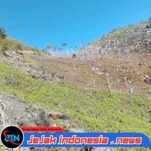Masyarakat Kampung Yubumabur Harapkan Dukungan Pemerintah untuk Pengembangan Ketahanan Pangan
