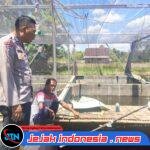Polres Serang Jalankan Program Poliran Kapolda Banten, Dorong Ketahanan Pangan dan Penyerapan Tenaga Kerja Masyarakat
