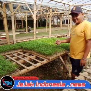 Dodi Buktikan Anak Muda Desa Jebung Kidul Bisa Sukses Besar Lewat Bisnis Pembibitan Hortikultura