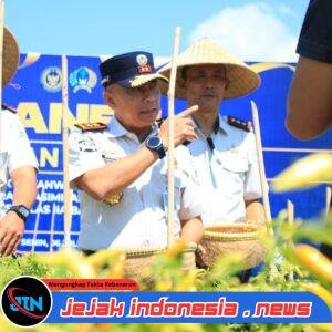 Dukung Ketahanan Pangan, Kakanwil Ditjenpas Jatim Hadiri Panen Jagung dan Cabai di Lahan SAE Paswangi