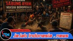 Perjudian Sabung Ayam Diduga Masih Beroperasi di Ambulu, Tanjungrejo, dan Lojejer, Warga Pertanyakan Ketegasan APH dalam Menindak Seluruh Lokasi