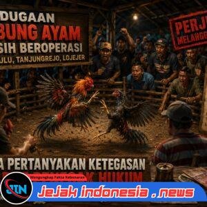 Perjudian Sabung Ayam Diduga Masih Beroperasi di Ambulu, Tanjungrejo, dan Lojejer, Warga Pertanyakan Ketegasan APH dalam Menindak Seluruh Lokasi