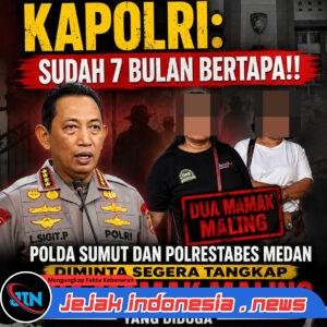 Lapor Pak Presiden Prabowo : 7 Bulan Laporan Dugaan Penipuan dan Fitnah Jalan di Tempat, Korban Pencurian Nangkap Maling 3 Bulan Sudah Jadi Tersangka, Dipenjara, dan DPO ?