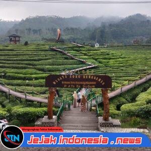 Wisata Gunung Gambir Kian Diminati Saat Libur Sekolah, Pengelola Dorong Perbaikan Akses Jalan