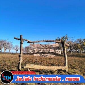 Viral “Savana by the Sea”: Savana Beach Pakem Jadi Destinasi Baru Favorit Wisatawan Banyuwangi