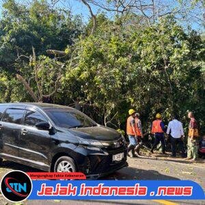 Aksi Sigap Yonif TP 928/BSY Bantu Evakuasi Pohon Tumbang di Jalan Raya Denpasar–Gilimanuk