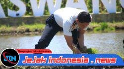 Konsisten Sukses 2 Kali Panen, Lapas Banyuwangi Garap Lagi Padi di Lahan SAE Paswangi
