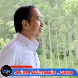 Jokowi Sebut Dirinya “Sultan Majdzub Besuki”, Agus Flores Ungkap Jejak Spiritual, Darah Sejarah hingga Perjalanan Ziarah Raja Nusantara
