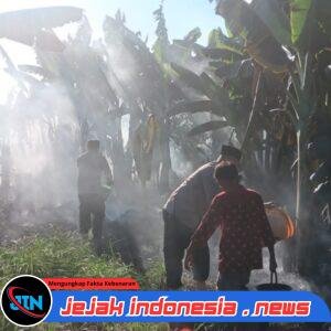Kebakaran Lahan di Kedungringin Muncar Meluas ke Semak dan Pisang, Warga Berjibaku Padamkan Api