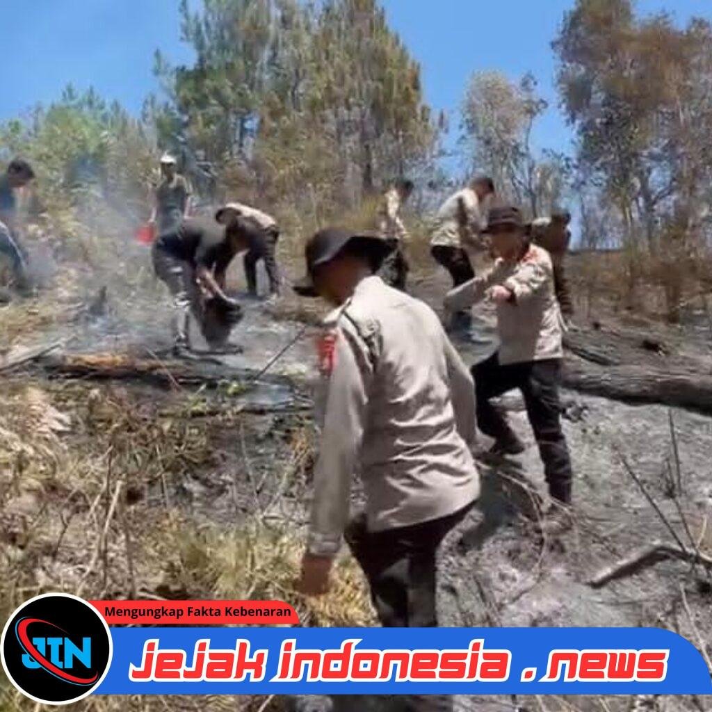 Karhutla Hanguskan 5 Hektare Lahan di Mamasa, Polisi dan Damkar Berjibaku Padamkan Api