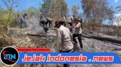 Karhutla Hanguskan 5 Hektare Lahan di Mamasa, Polisi dan Damkar Berjibaku Padamkan Api