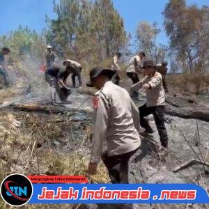Karhutla Hanguskan 5 Hektare Lahan di Mamasa, Polisi dan Damkar Berjibaku Padamkan Api