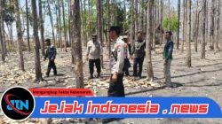*Sinergi Cegah Karhutla, Polres Bojonegoro Sisir Kawasan Rawan di Kedungadem*