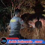 Polres Ngawi dan Tim Gabungan Buat Sekat Bakar dan Dirikan Posko Antisipasi Karhutla Lawu Utara Meluas