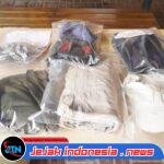 Secangkir Kopi dan Dukungan Psikologi, Cara Polda Kalteng Jaga Semangat Petugas Karhutla