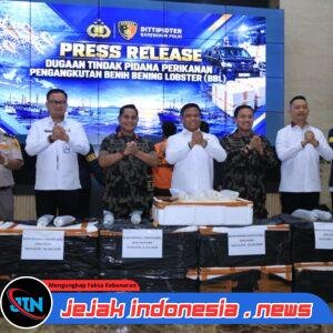 *Polri Ungkap Jaringan Penyelundupan Baby Lobster Lintas Negara, Dua Pelaku Ditangkap*